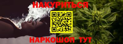 прущие грибы Кингисепп