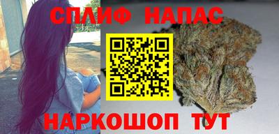 прущие грибы Кингисепп